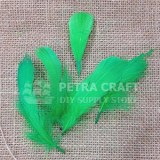 ft03-hen-green-petracraft